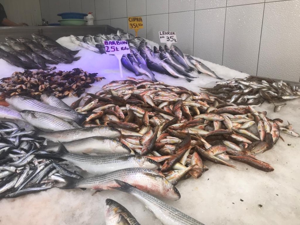 Sinop’ta korona virüs balık fiyatlarını düşürdü 