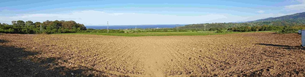 Sinop’ta “Milli Tarım Yerli Tohum Projesi
