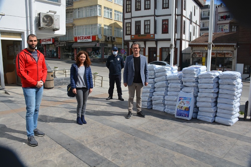 Sinop’ta sokak hayvanları aç kalmayacak 