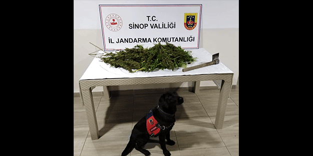 Uyuşturucu operasyonunda 2 şüpheli yakalandı