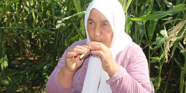 Sipsi Ustası Halime Nine!