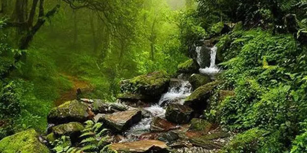 Sıra 19, Koltuk F! Benzer bir hikaye yıllar sonra tekrarlandı