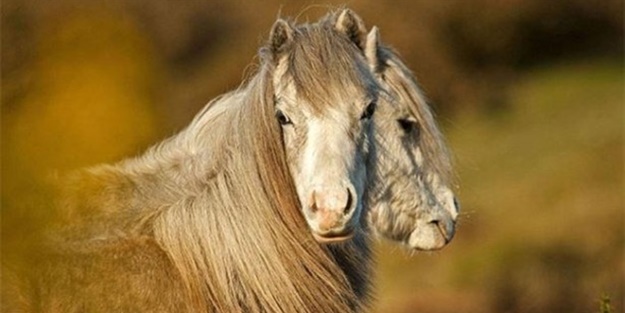 Sıra dışı fotoğraflar