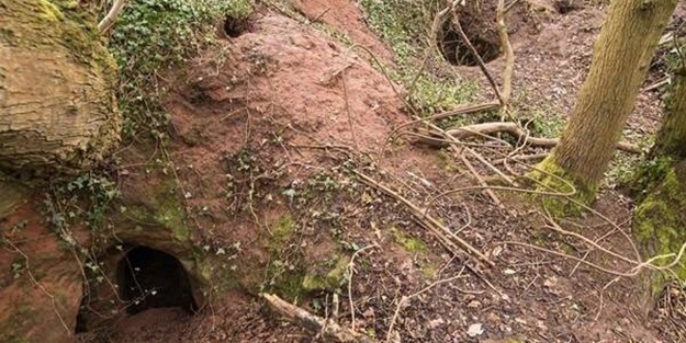 Sıradan bir barınak gibi gözüküyor fakat...