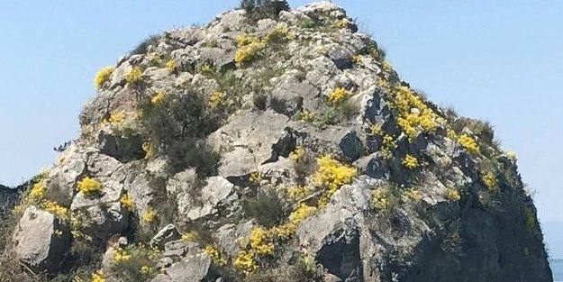 Sıradan bir kaya gibi duruyor ama...