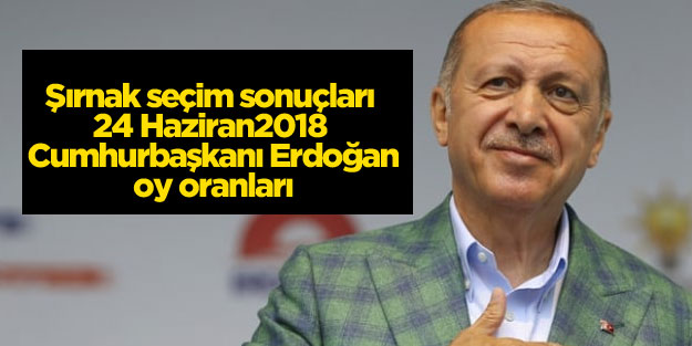 Şırnak 24 Haziran seçim sonuçları
