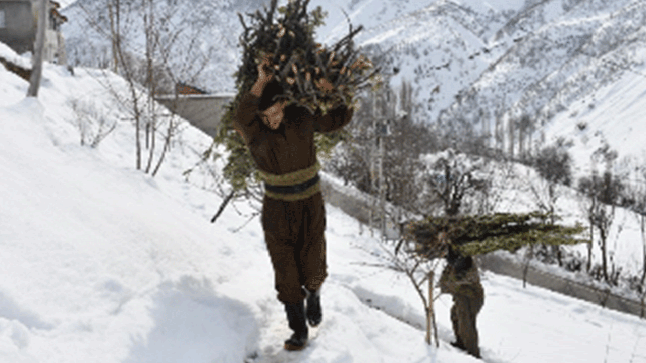 Şırnaklı besiciler zorlu şartlara rağmen hayvanlarını beslemenin yolunu buldu!