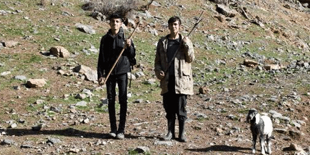 Çoban kardeşler askeri kameraya böyle yakalandı