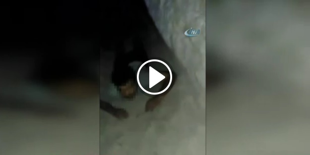 Şırnak’ta 2 terörist etkisiz hale getirildi