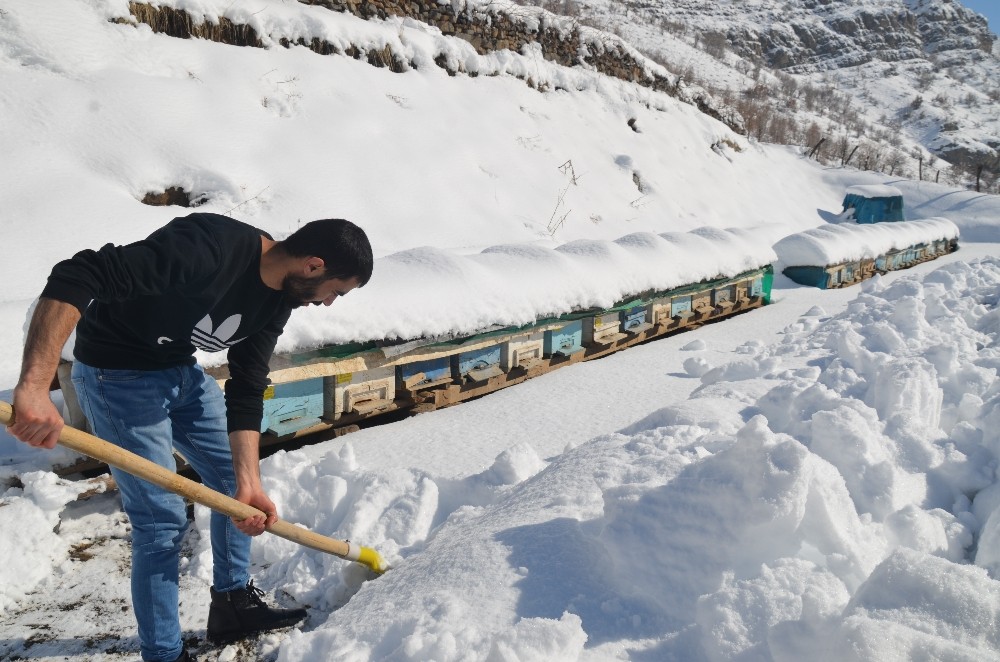 Şırnak’ta arıcıların zorlu kış mesaisi devam ediyor 