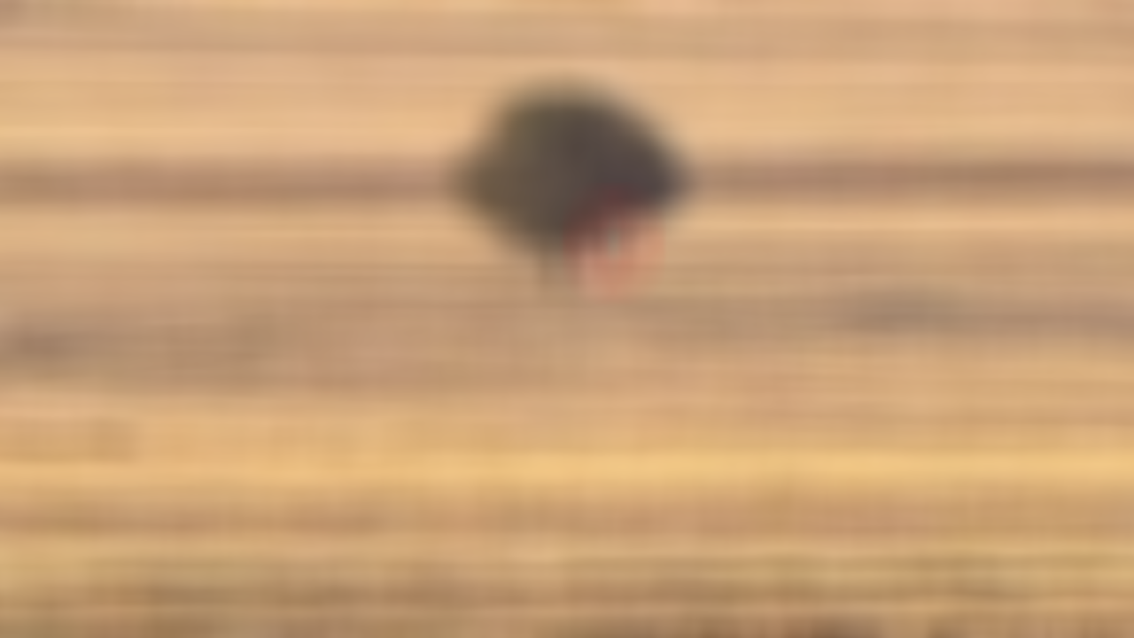 Şırnak’ta boş arazide korkunç manzara! Vatandaşlar ne yapacaklarını şaşırdı