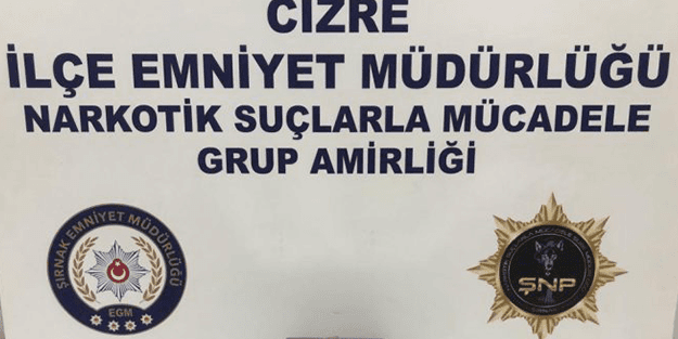 Şırnak’ta büyük operasyon: Tam 55 gözaltı