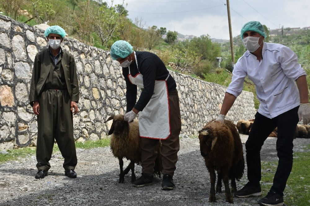 Şırnak’ta ihtiyaç sahibi ailelere 8 ton et dağıtılacak 