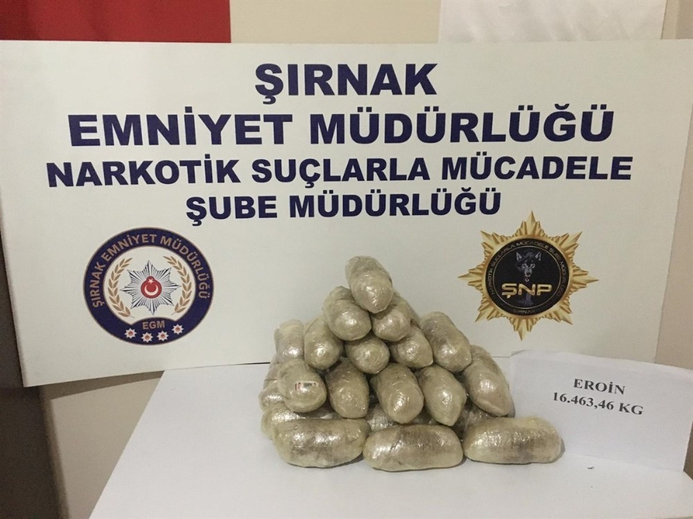 Şırnak’ta kaçakçılık operasyonu: 13 gözaltı 