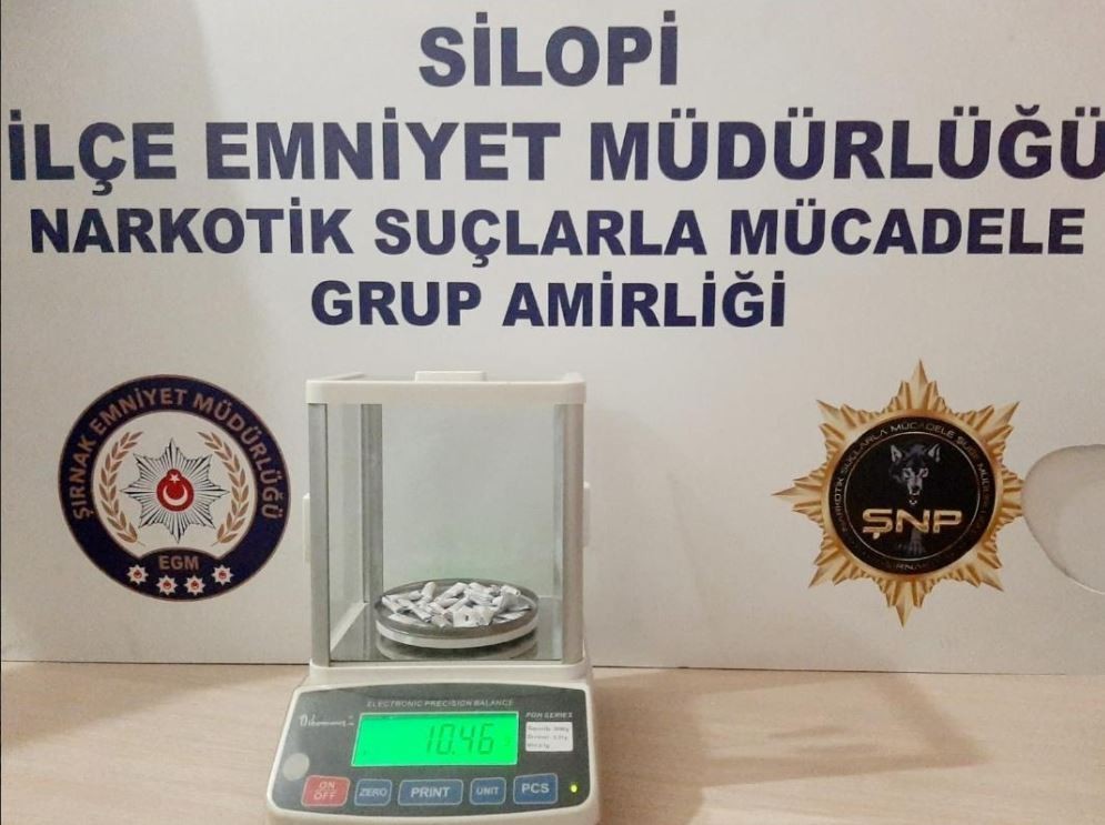 Şırnak’ta kaçakçılık ve terör operasyonu: 85 gözaltı 