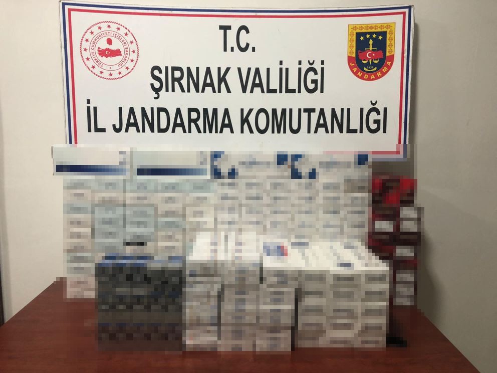 Şırnak’ta kaçakçılık ve terörle mücadele operasyonu: 33 gözaltı 