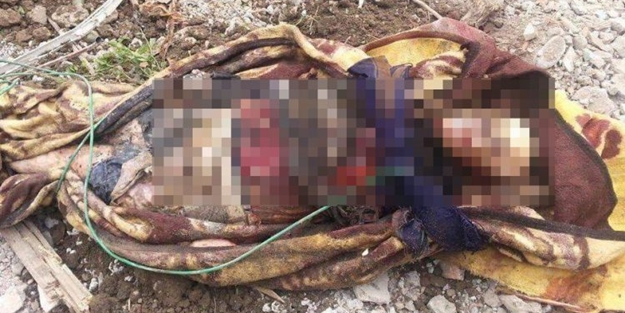 Şırnak'ta kan donduran görüntü! Köpekler buldu