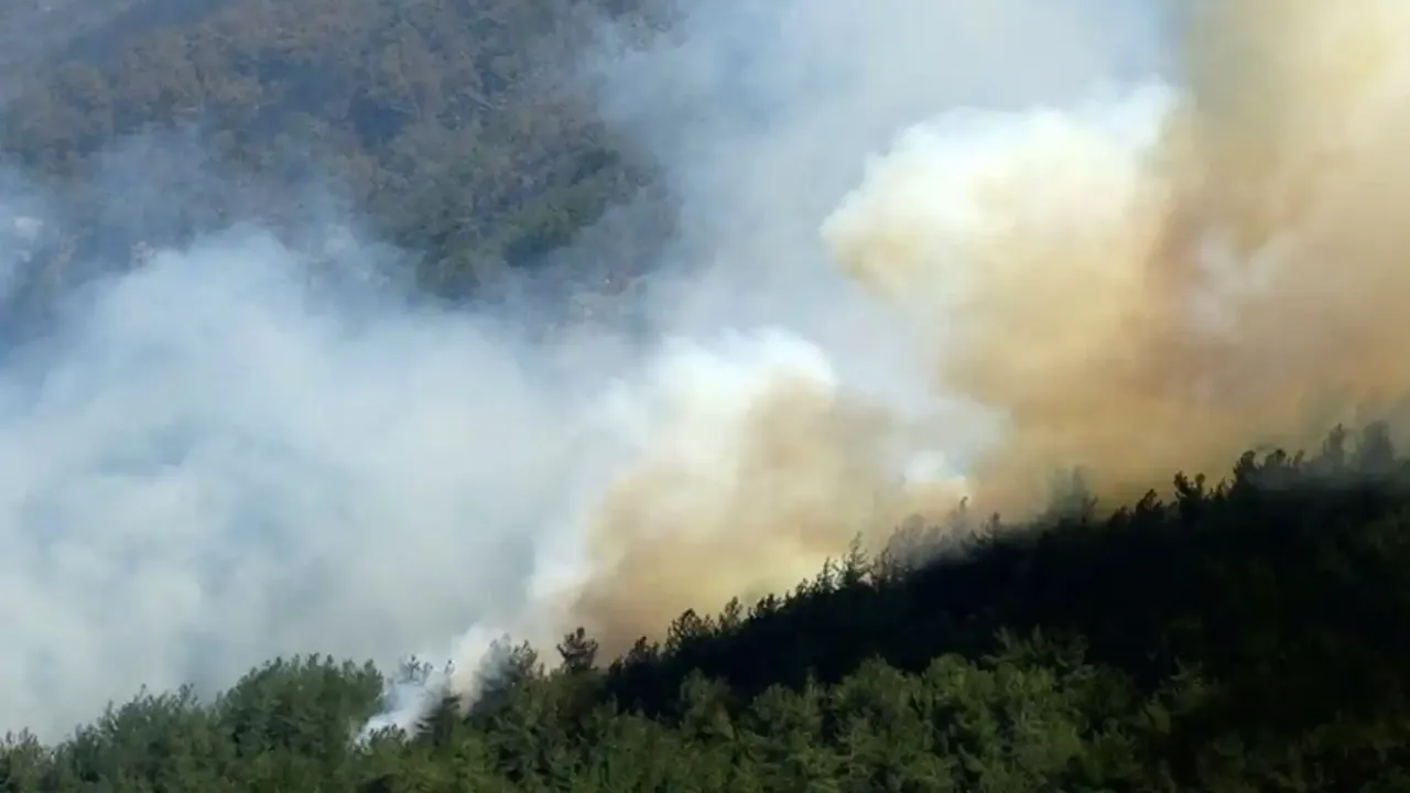 Şırnak’ta orman yangını!