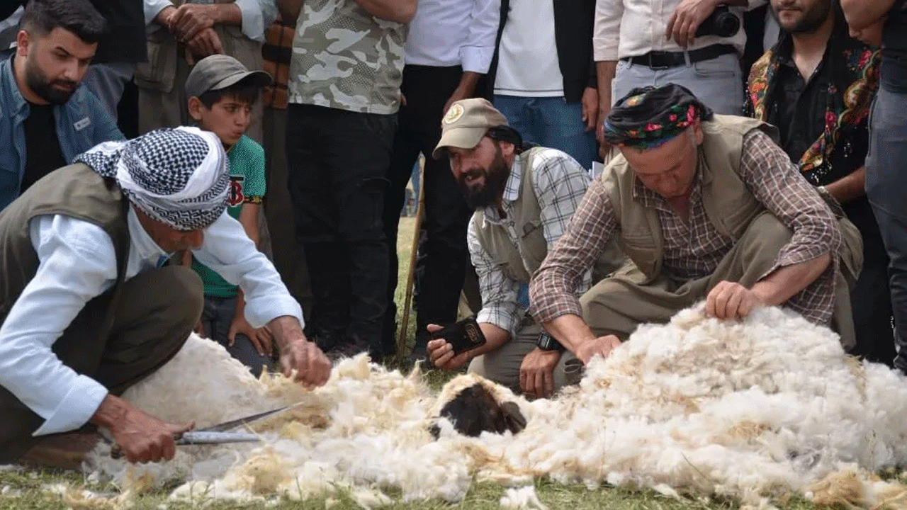 Şırnak'ta renkli festival başladı! Kato Dağı eteklerinde üç gün sürecek