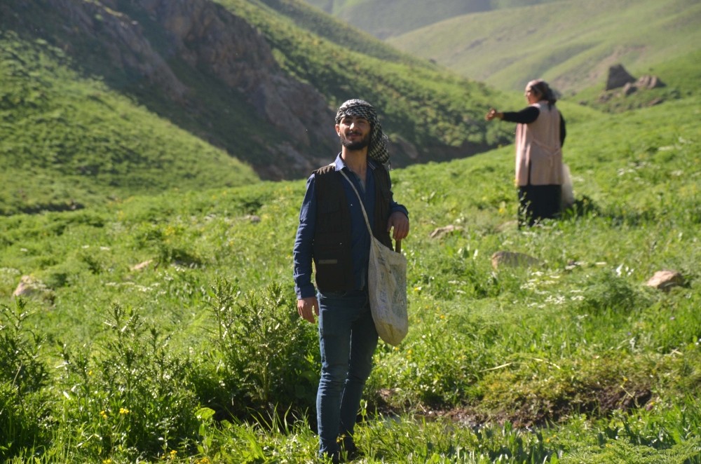 Şırnak’ta sezonun son pancarları toplandı 