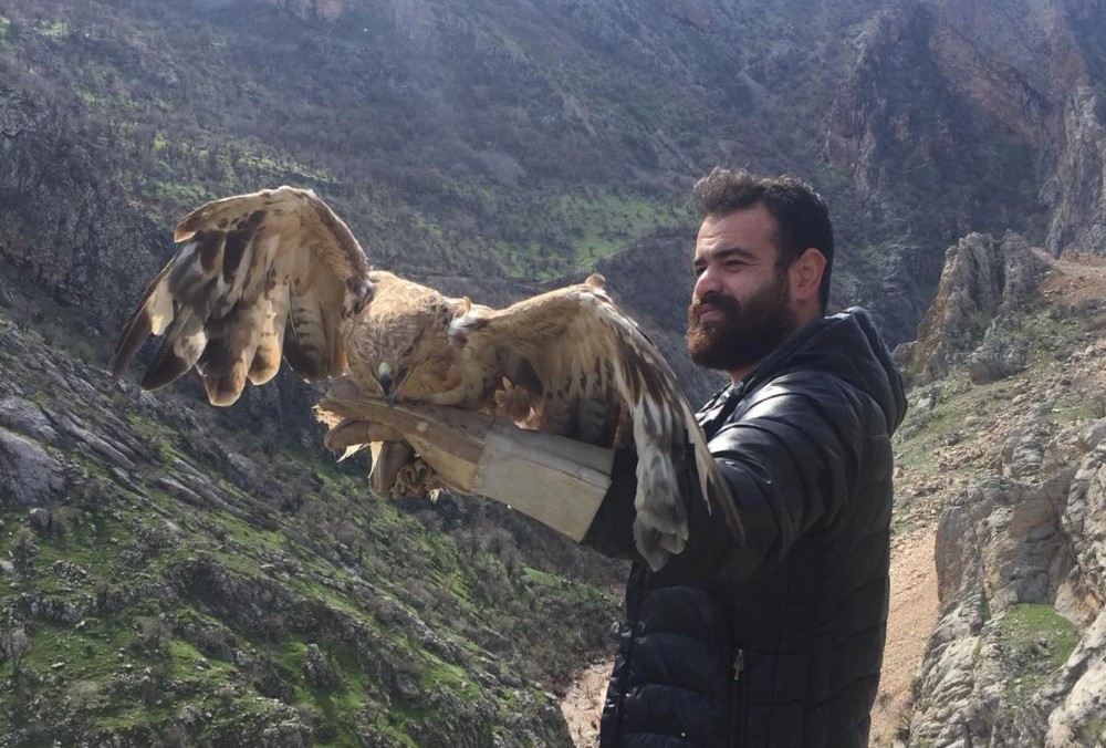 Şırnak’ta tedavi edilen şahinler doğaya bırakıldı 