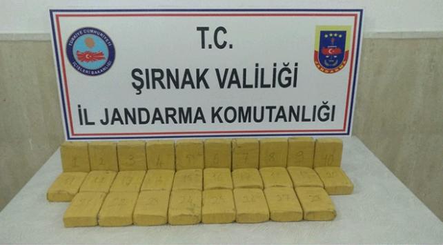 Şırnak'ta uyuşturucu operasyonu: 2 kişi gözaltına alındı