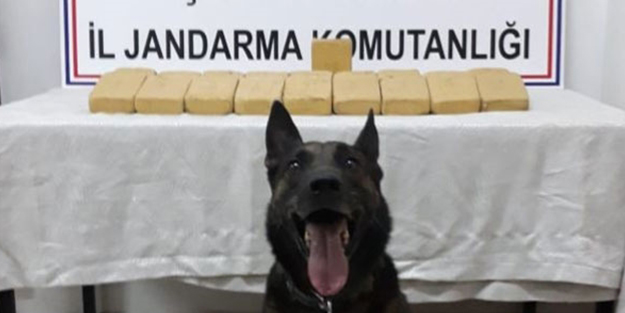 Şırnak'ta zehir tacirlerine büyük darbe! 14 kilo...