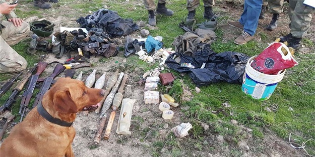 Şırnak'taki mağaradan bunlar çıktı