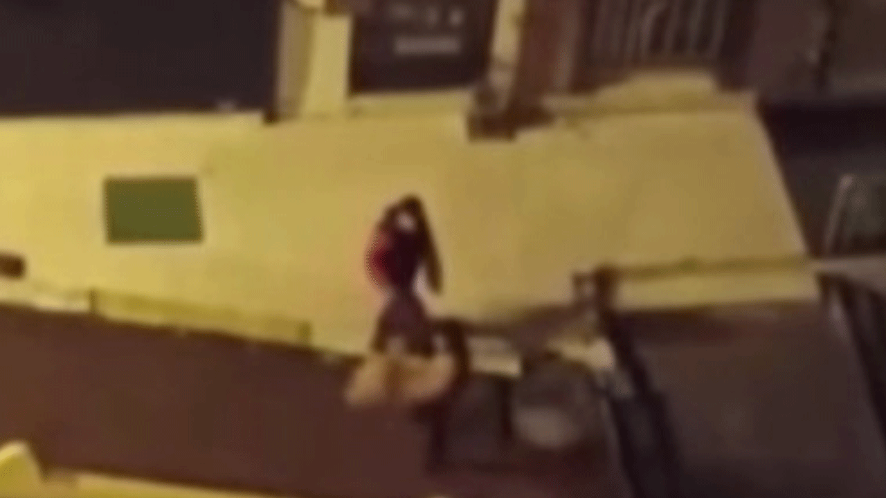 Şişli'de oyuncak ayı çalan hırsızdan pişkin savunma!