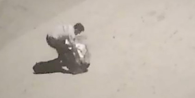 Sitenin güvenliği daire sahibini öldürdü! İşte o dehşet anları