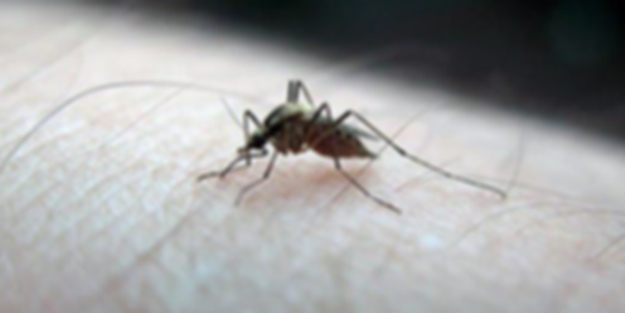 10 kişi üzerinde denendi! Sonuç umut verici