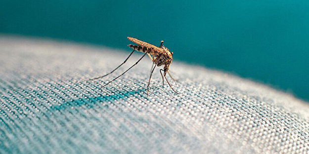 Sıtma riski devam ediyor uyarısı: Sivrisineklerle mücadeleye devam edilmesi gerekiyor!