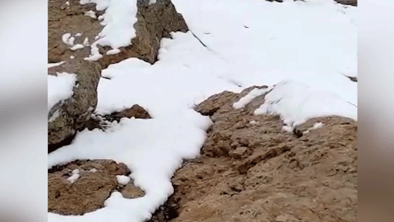 Sivas beyaza büründü! Mevsimin ilk karı Geminbeli Geçidi’nde yağdı
