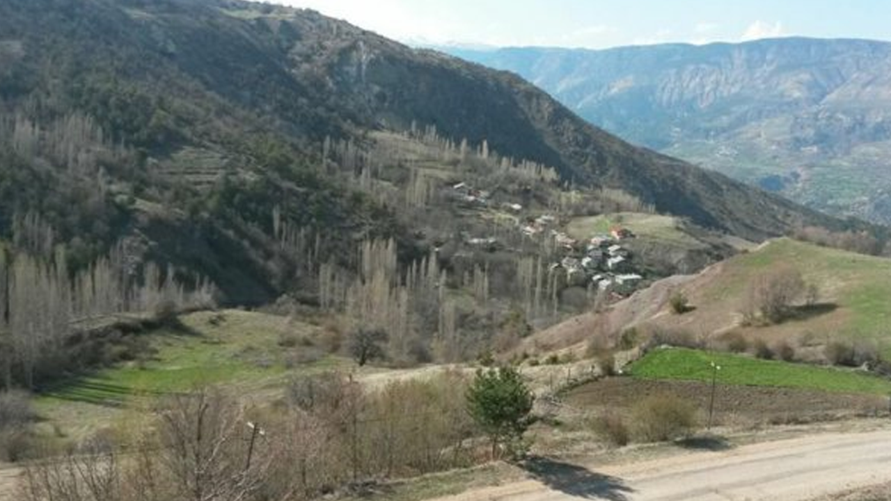 Sivas Koyulhisar'da skandal: Sokak aydınlatması olmayınca ayı saldırdı!