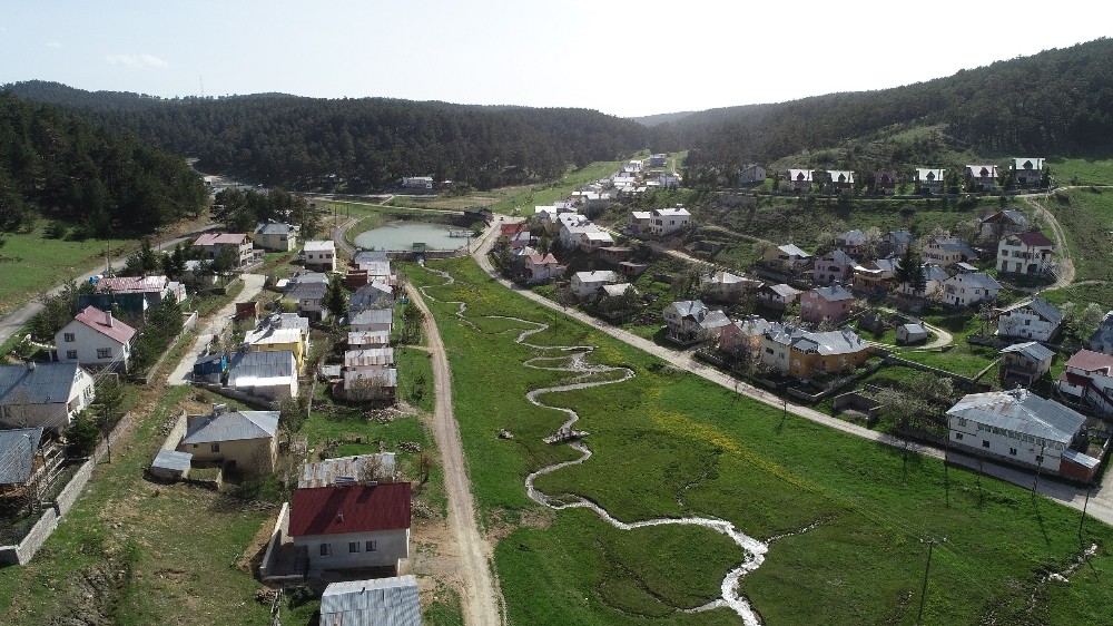 Sivas’ın Ayder’i, sessizliğe büründü 