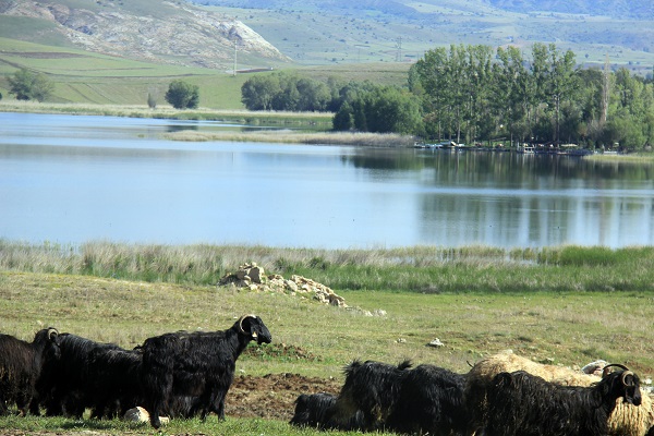 Sivas'ın "doğal akvaryumu" o listeye girdi