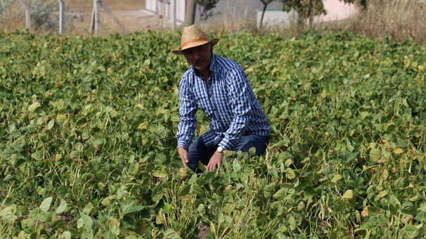 Sivas’ta 8 kilo ekti 2 ton ürün elde etti