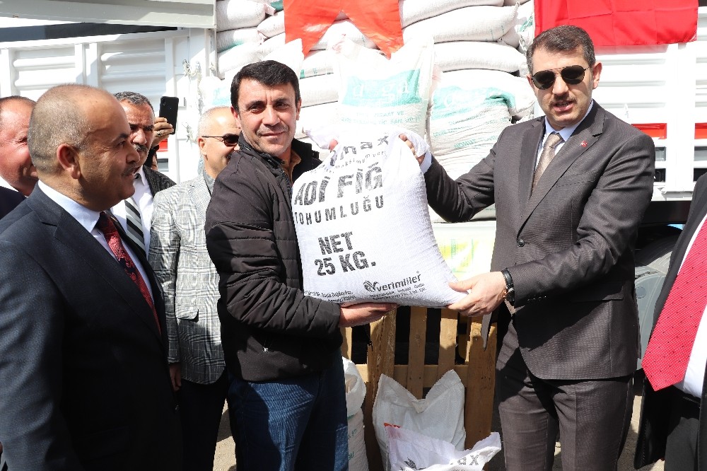 Sivas’ta çiftçilere tohum dağıtıldı 