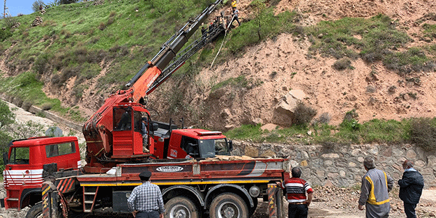 Sivas'ta dağ yamacında mahsur kalan inek kurtarıldı