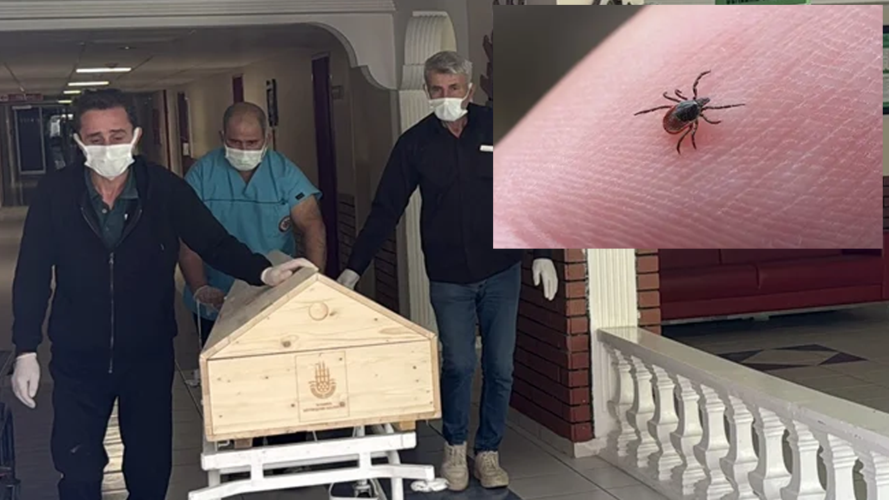 Sivas'ta kene yapışmasından dolayı bir kişi daha öldü!