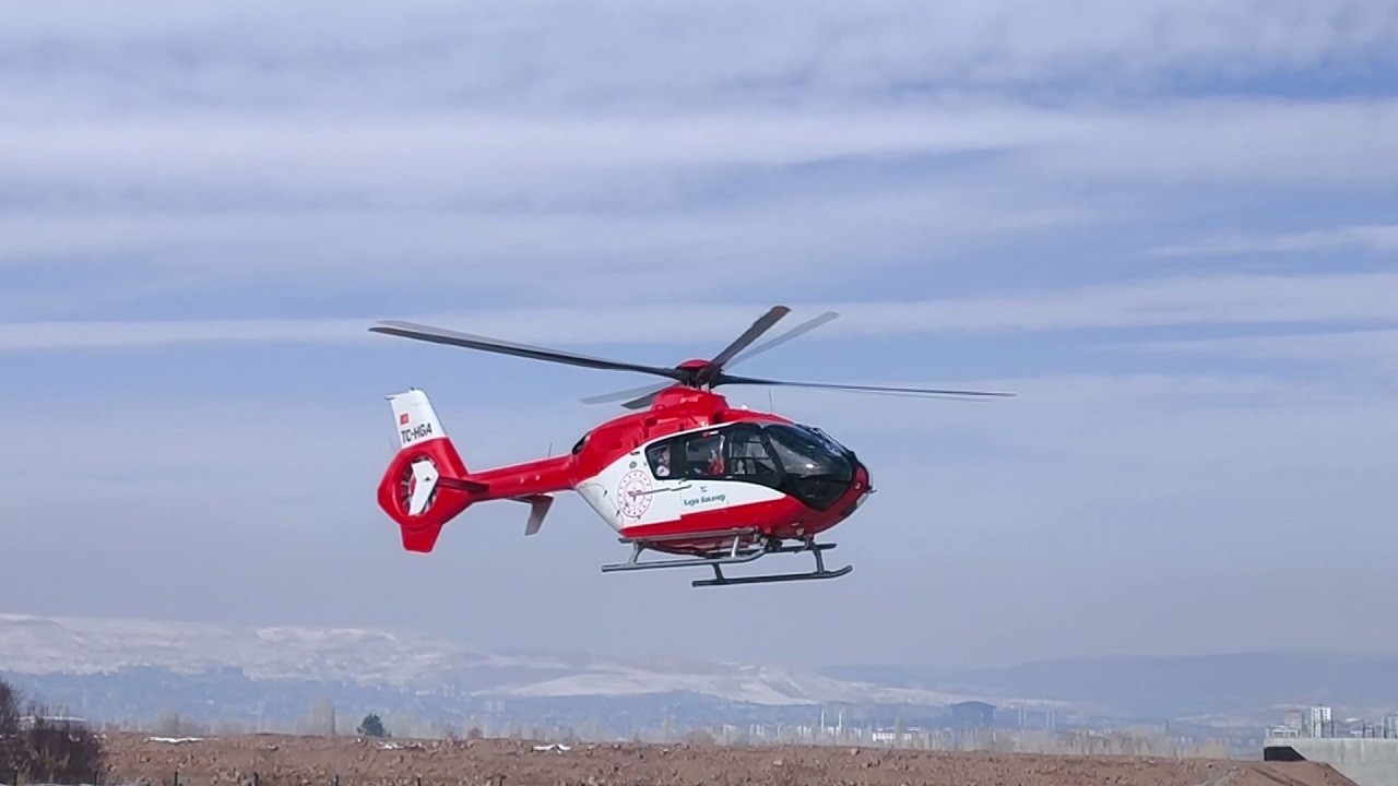 Sivas'ta korkunç olay! Ayı saldırısına uğradı