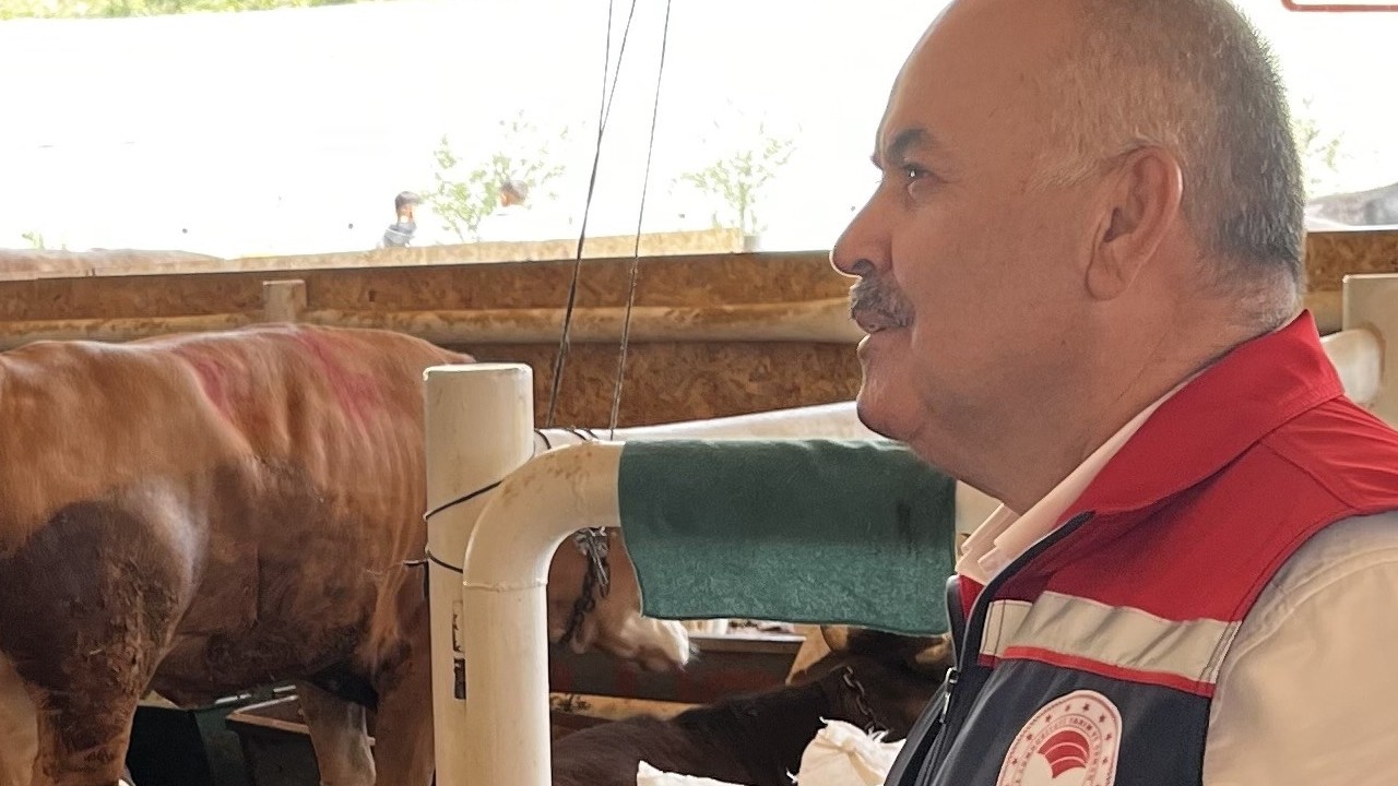 Sivas’ta kurban pazarı denetimleri sıkılaştırıldı