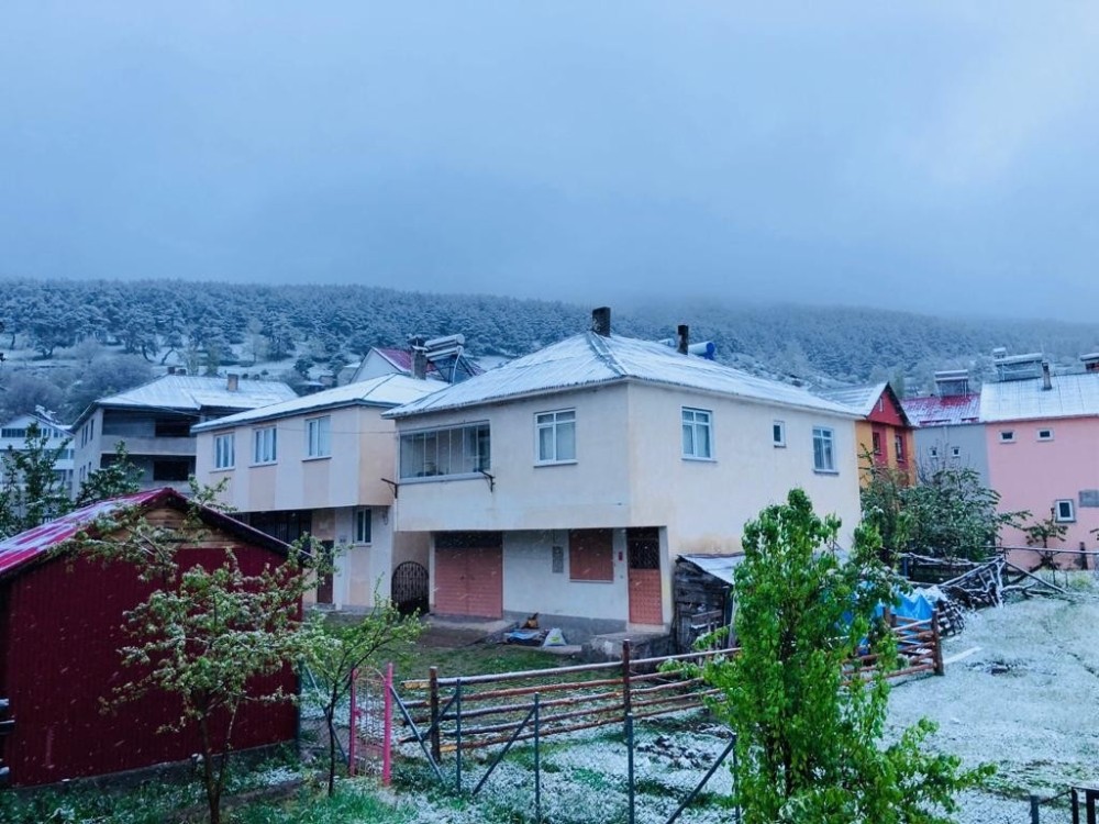 Sivas’ta Mayıs karı 