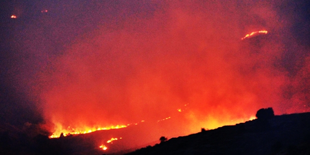 Sivas'ta orman yangını! Saatlerdir söndürülemiyor