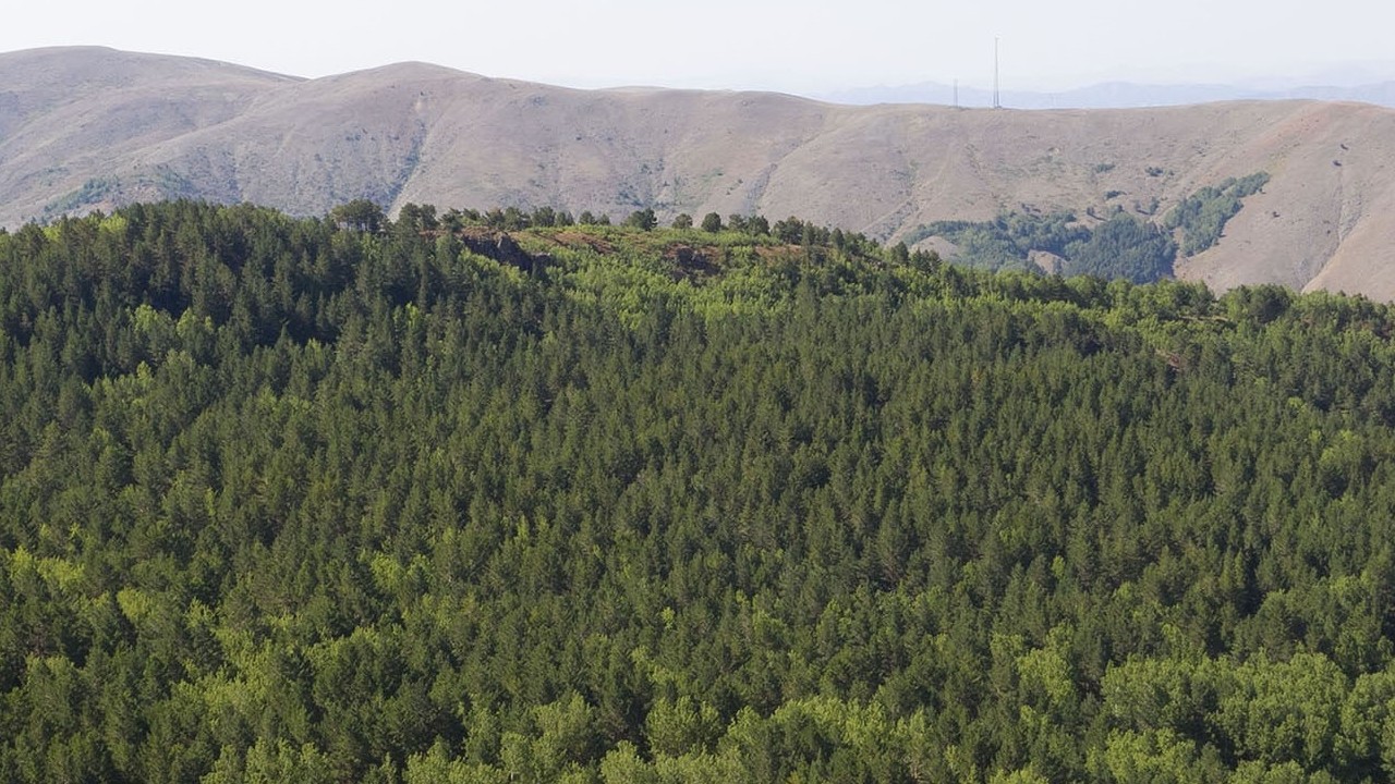 Sivas’ta ormanlara giriş yasaklandı