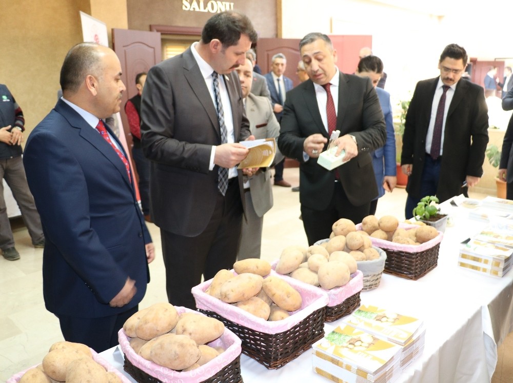 Sivas’ta patatesin üretimi ve sorunları anlatıldı 