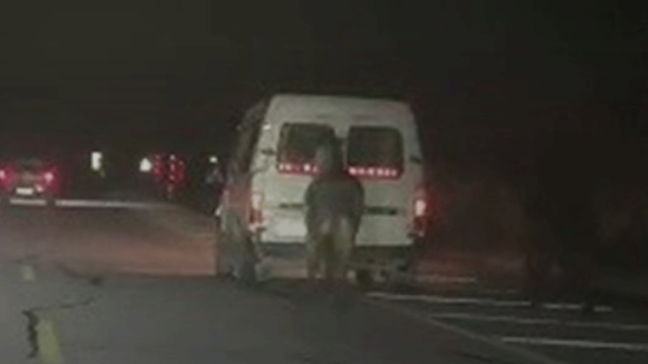 Sivas'ta tepki çeken görüntüler! Atları kamyonetin arkasına bağladı!