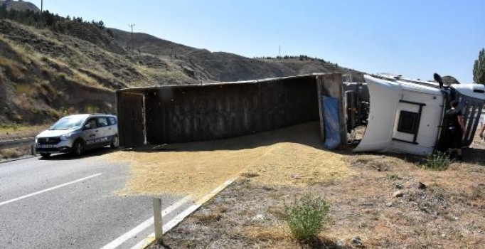 Sivas'ta tır devrildi; 6 ton arpa yola saçıldı