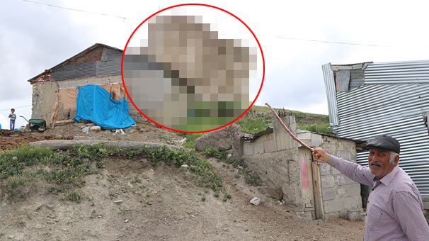 Sivas'ta ürküten görüntü! Bakan bir kez daha bakıyor