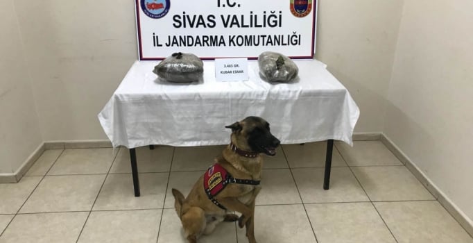 Sivas'ta valizden 3 kilo 465 gram esrar çıktı